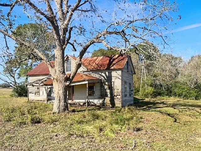 a backyard of a house with a large tree