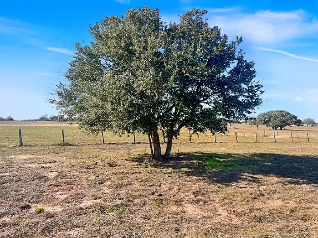 a view of backyard of the house