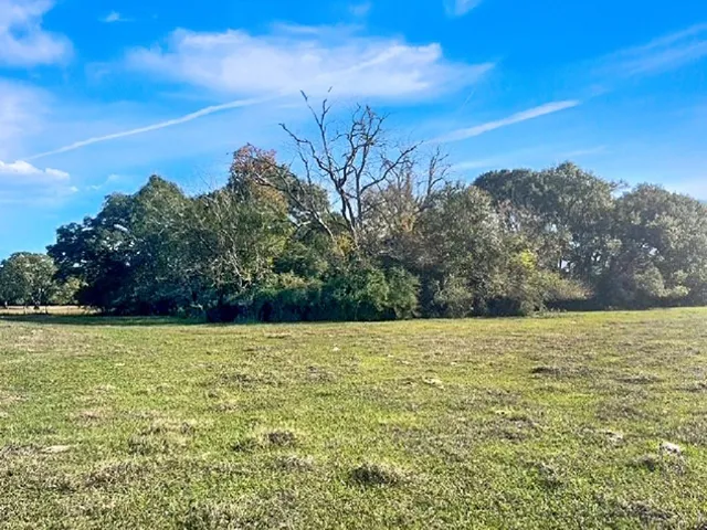 a view of a field with an ocean