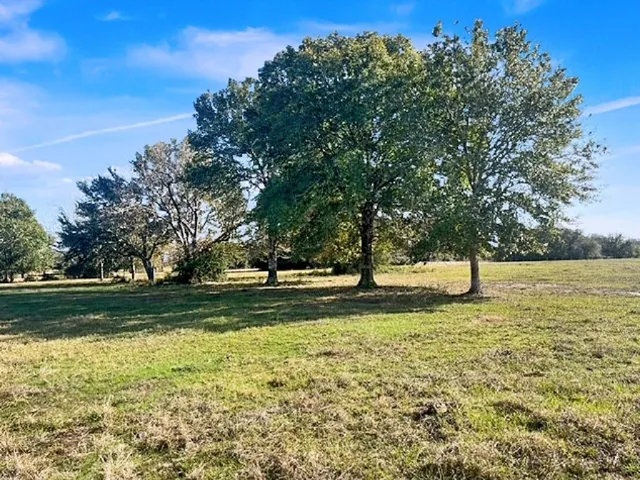 a yard with trees in the background