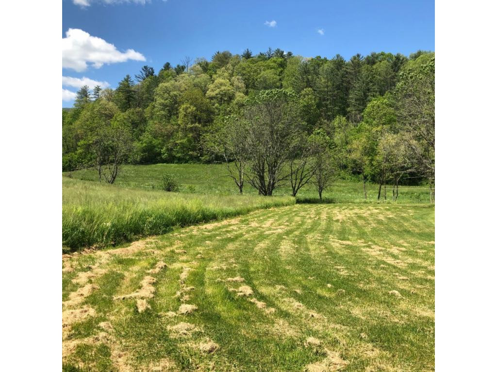488 Lowell Stalcup Road Butler, TN 37640 - Photo 13 of 34 BACK YARD