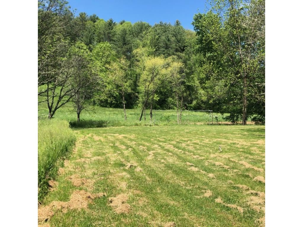 488 Lowell Stalcup Road Butler, TN 37640 - Photo 14 of 34 BACK YARD