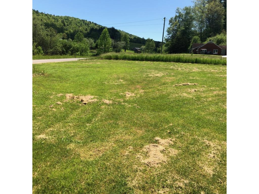 488 Lowell Stalcup Road Butler, TN 37640 - Photo 8 of 34 LEFT SIDE OF YARD