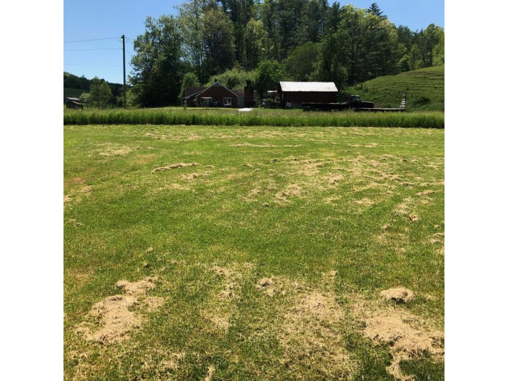 488 Lowell Stalcup Road Butler, TN 37640 - Photo 9 of 34 LEFT SIDE OF YARD