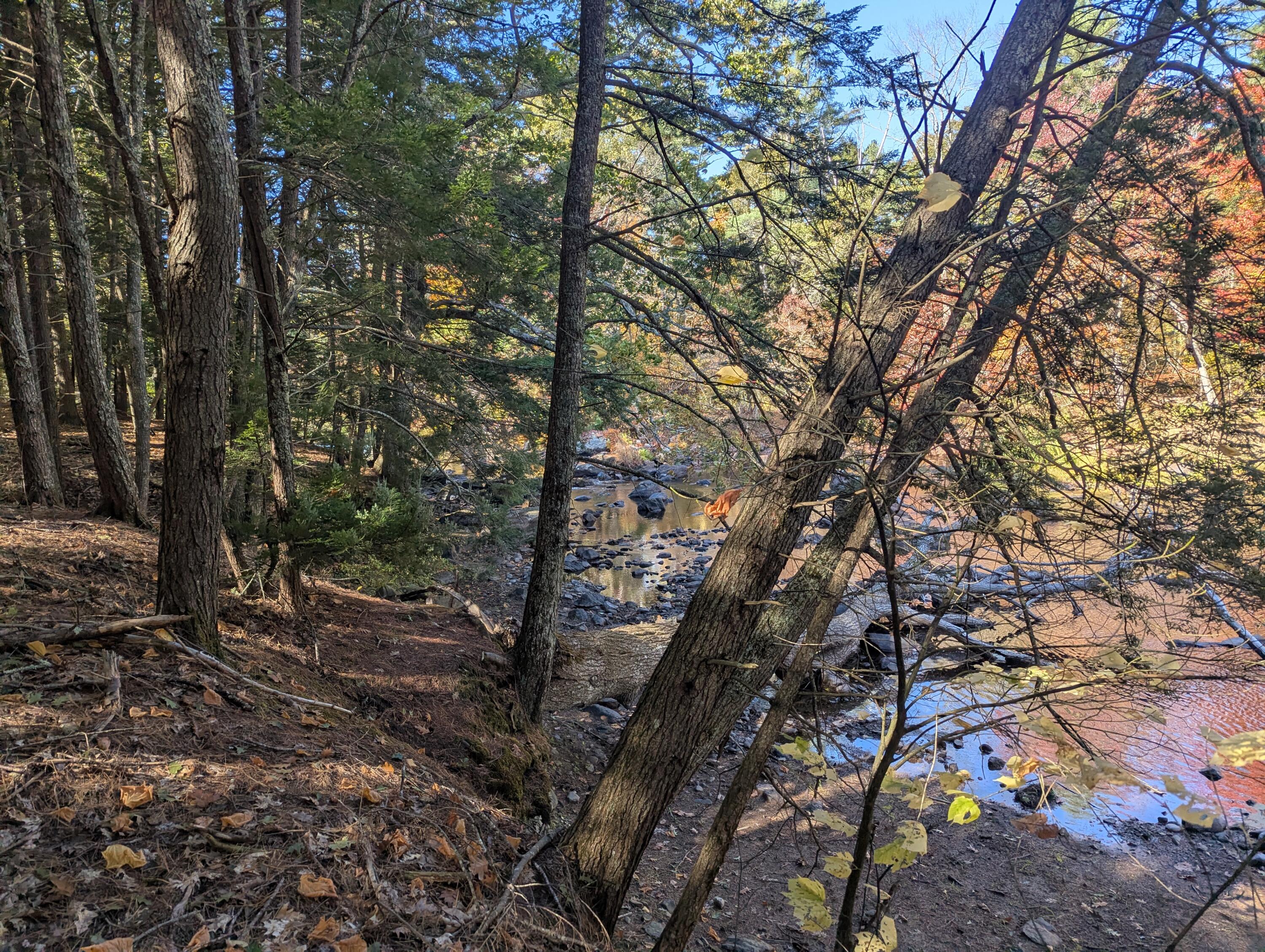 755 Winslows Mills Road Waldoboro, ME 04572 - Photo 11 of 18 PXL_20251007_163930791