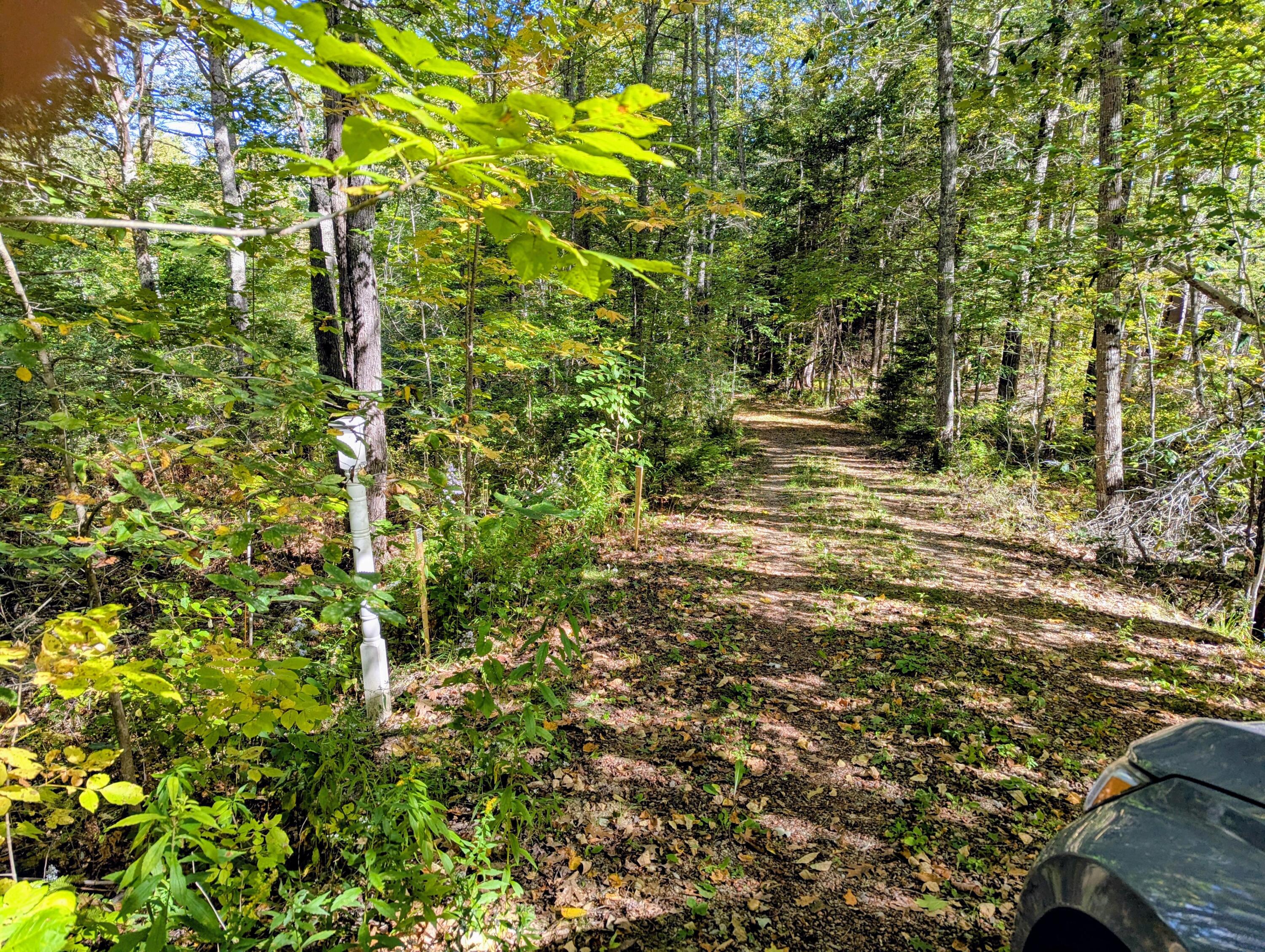 755 Winslows Mills Road Waldoboro, ME 04572 - Photo 2 of 18 c33ec16c-a122-48e7-9f48-c7e055092c09~1