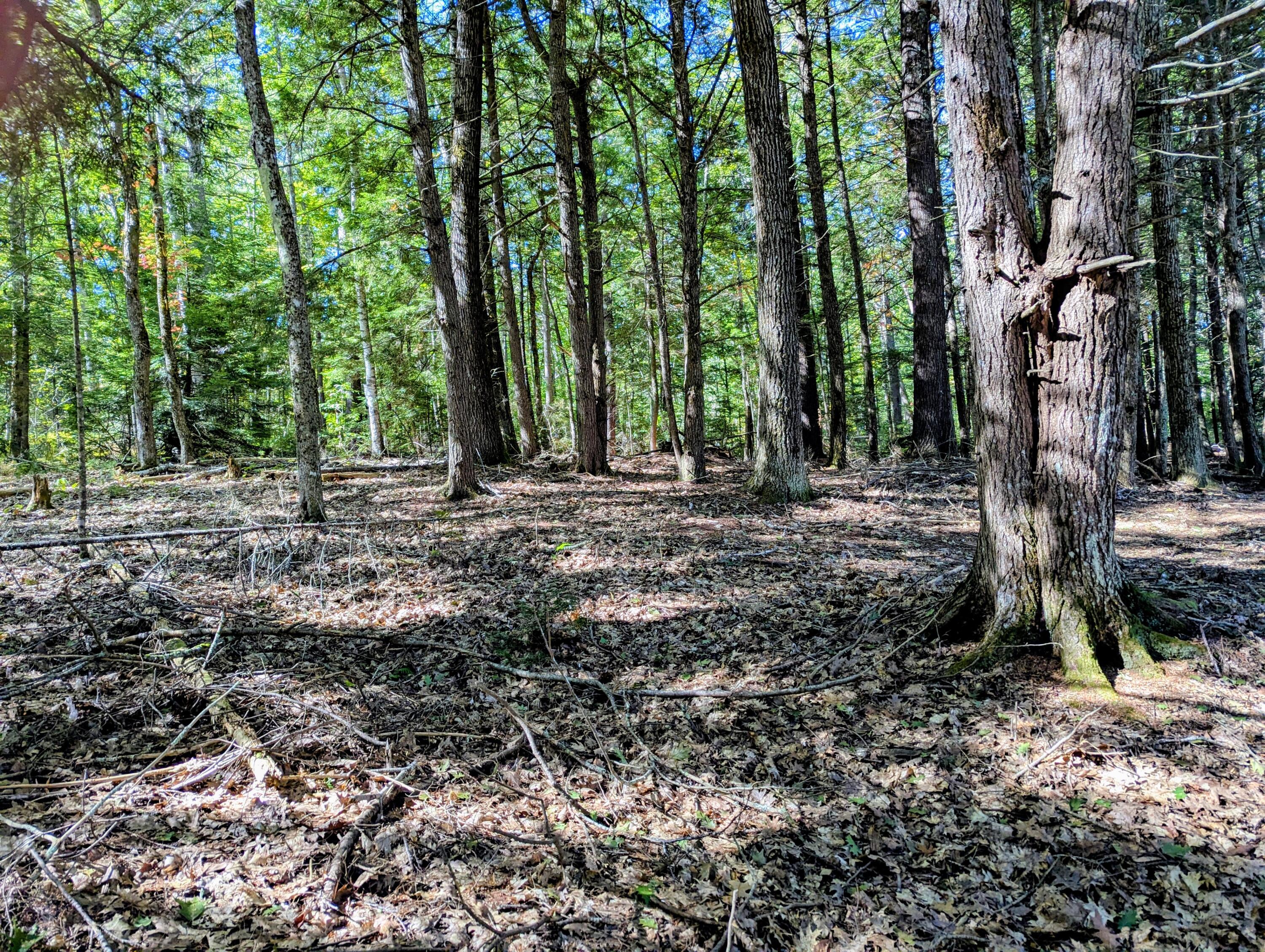 755 Winslows Mills Road Waldoboro, ME 04572 - Photo 5 of 18 010b7a17-1397-4978-a11a-8e160e4c6647~1