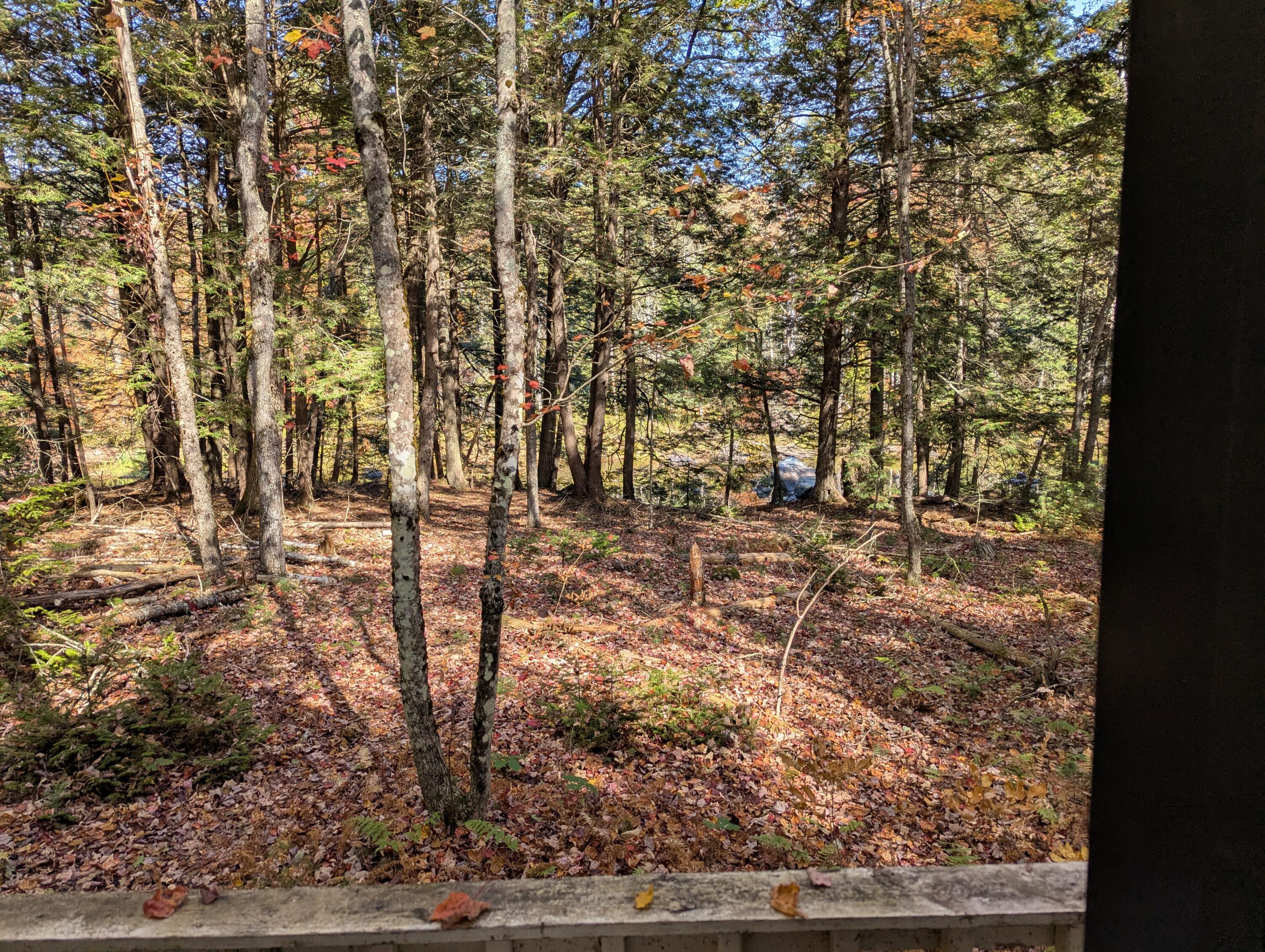 755 Winslows Mills Road Waldoboro, ME 04572 - Photo 7 of 18 PXL_20251004_154516840.MP