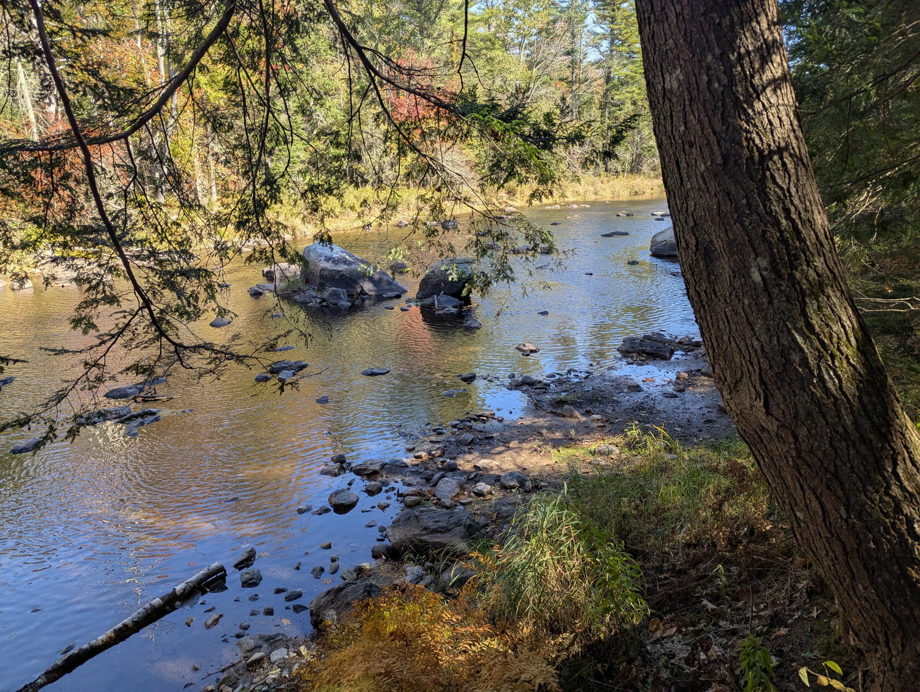 755 Winslows Mills Road Waldoboro, ME 04572 - Photo 9 of 18 PXL_20251007_164026170.MP