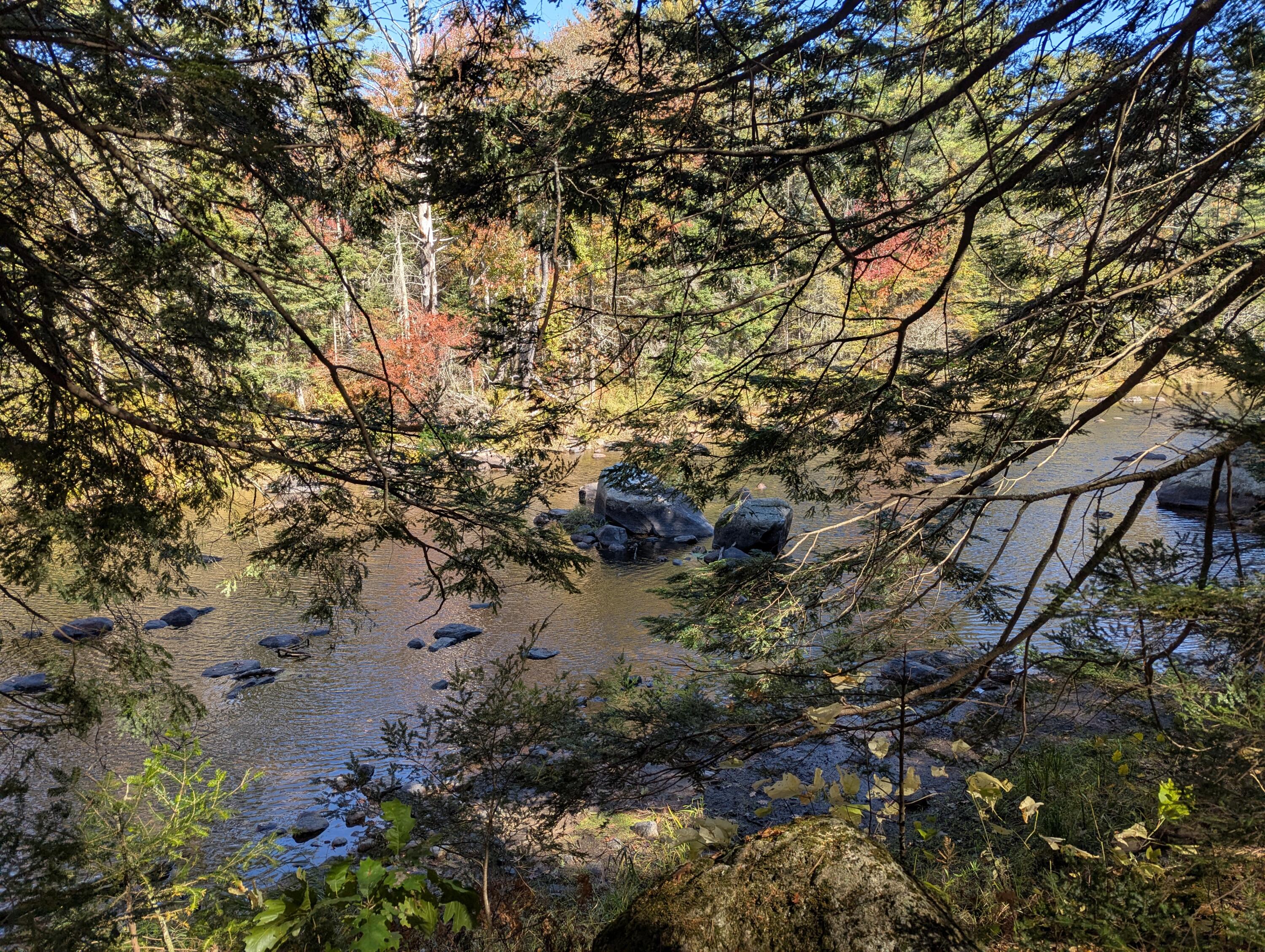 755 Winslows Mills Road Waldoboro, ME 04572 - Photo 10 of 18 PXL_20251007_163909844