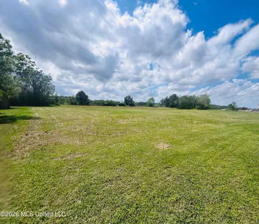 $1,000,000 | 1 Meeting Street, Brandon, MS 39047