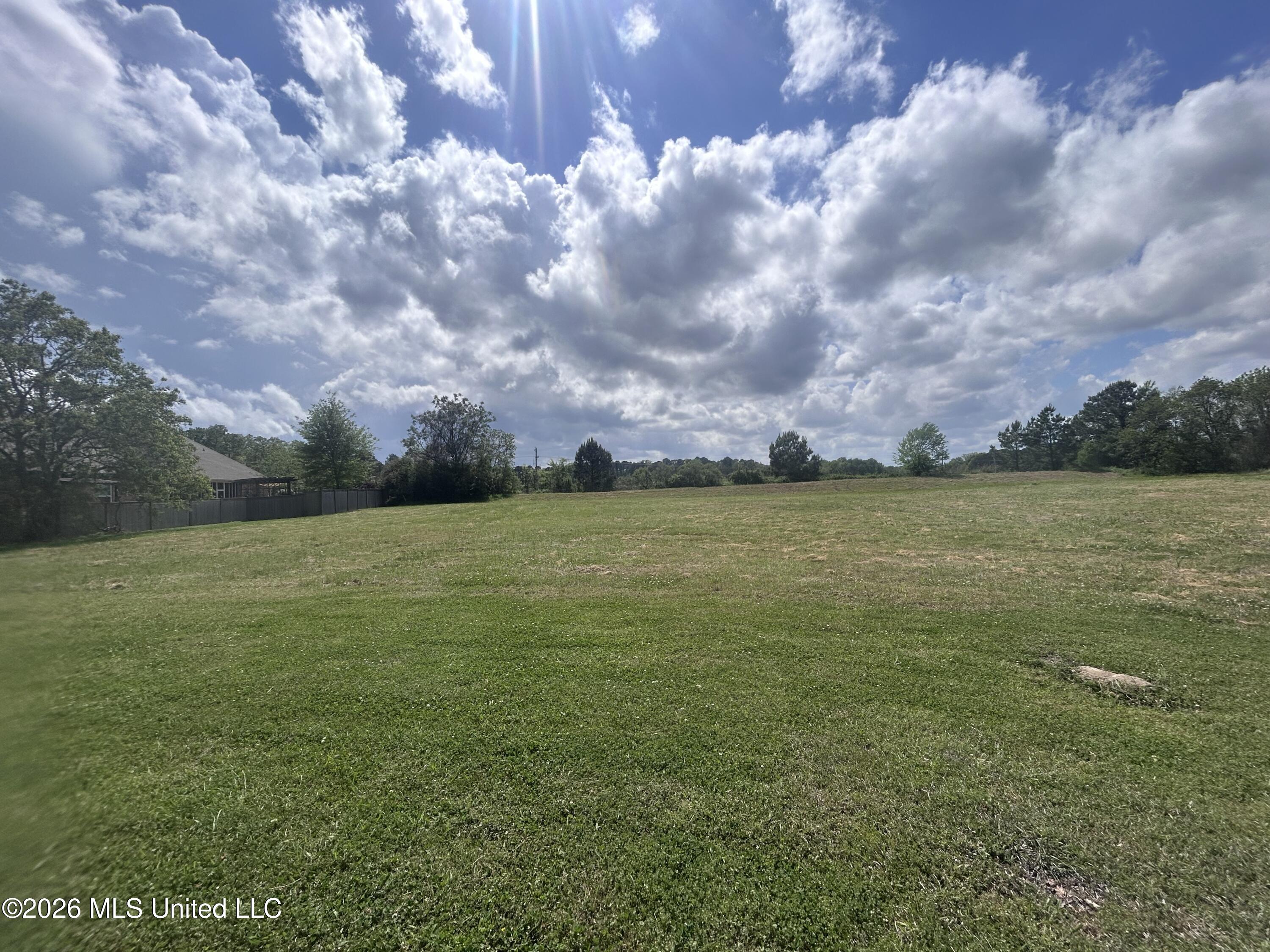 1 Meeting Street Brandon, MS 39047 - Photo 3 of 8 Lot View