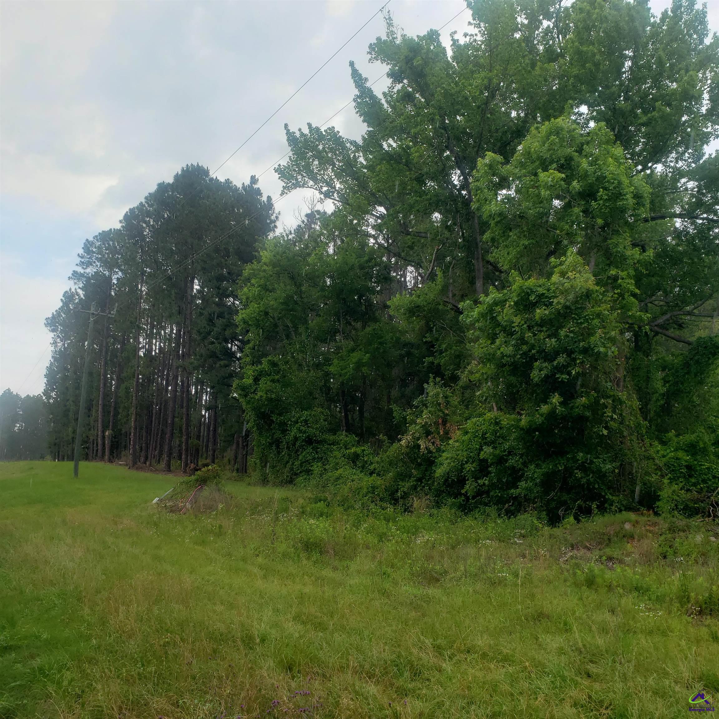 0 South S Highway Dublin, GA 31021 - Photo 1 of 13 a view of outdoor space and yard