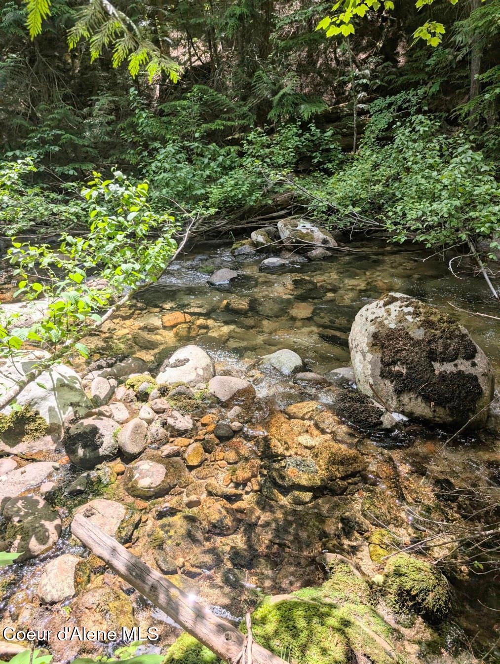 1628 Morris Road Naples, ID 83847 - Photo 4 of 36 Rushing Fall creek