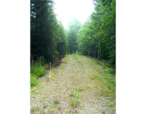 18 High Head Road East Machias, ME 04630 - Photo 1 of 6 Land/Lot.