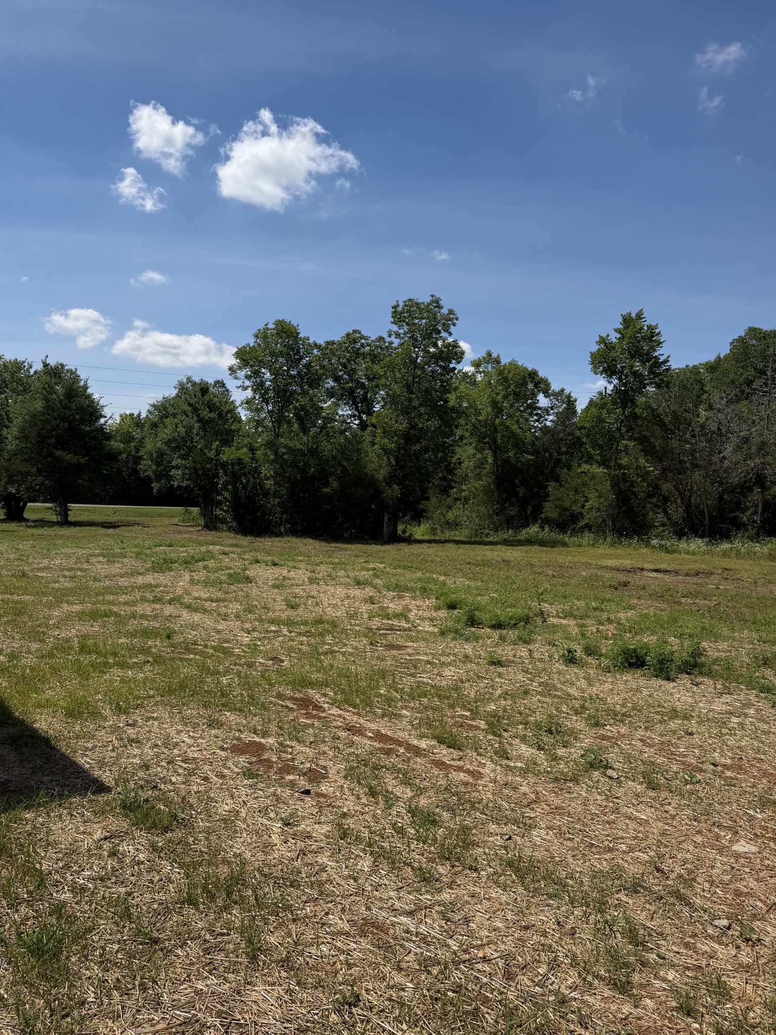 11533 Karo Road Bell Buckle, TN 37020 - Photo 31 of 33