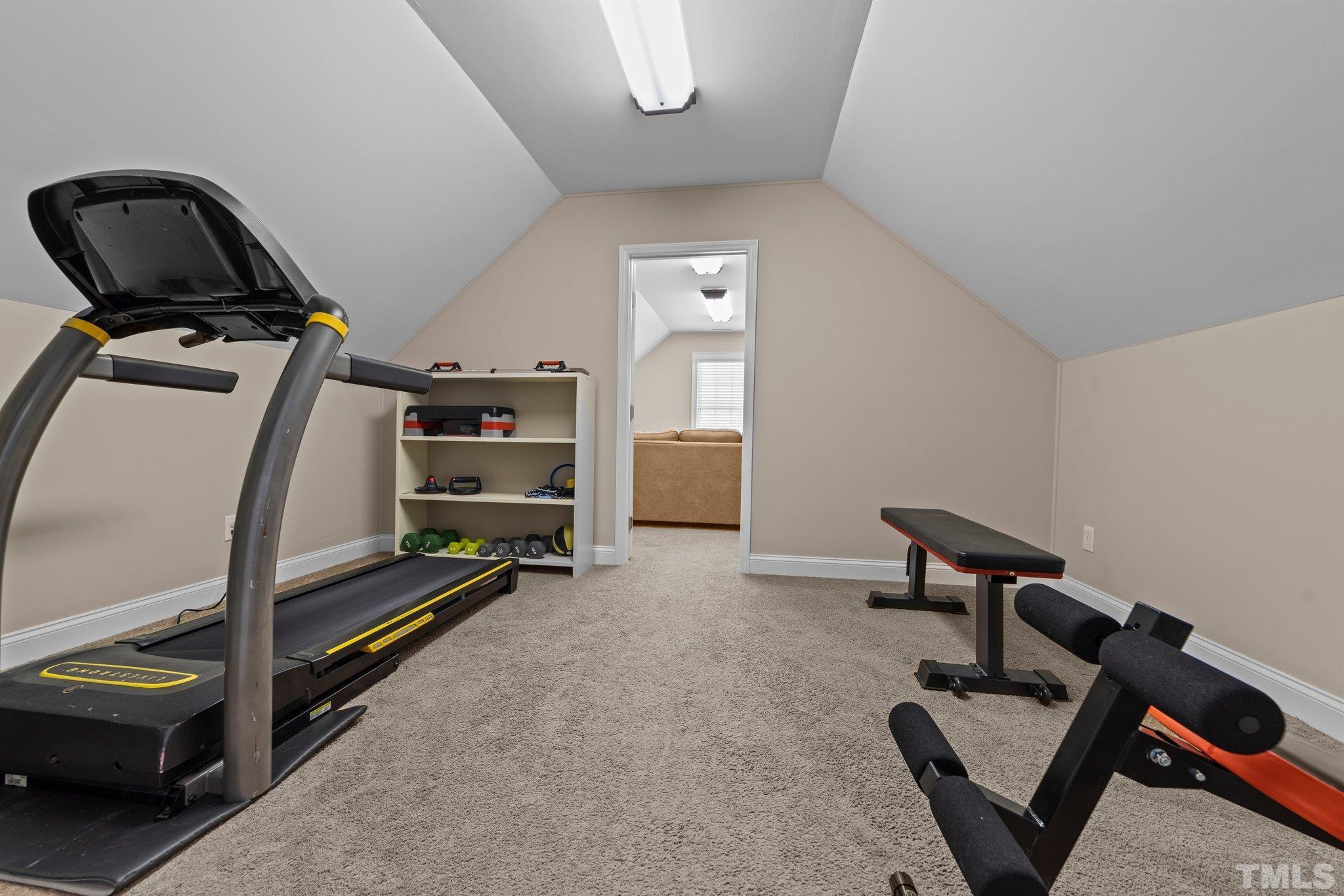 213 Serendipity Drive Haw River, NC 27258 - Photo 30 of 33 a view of workspace with gym equipment