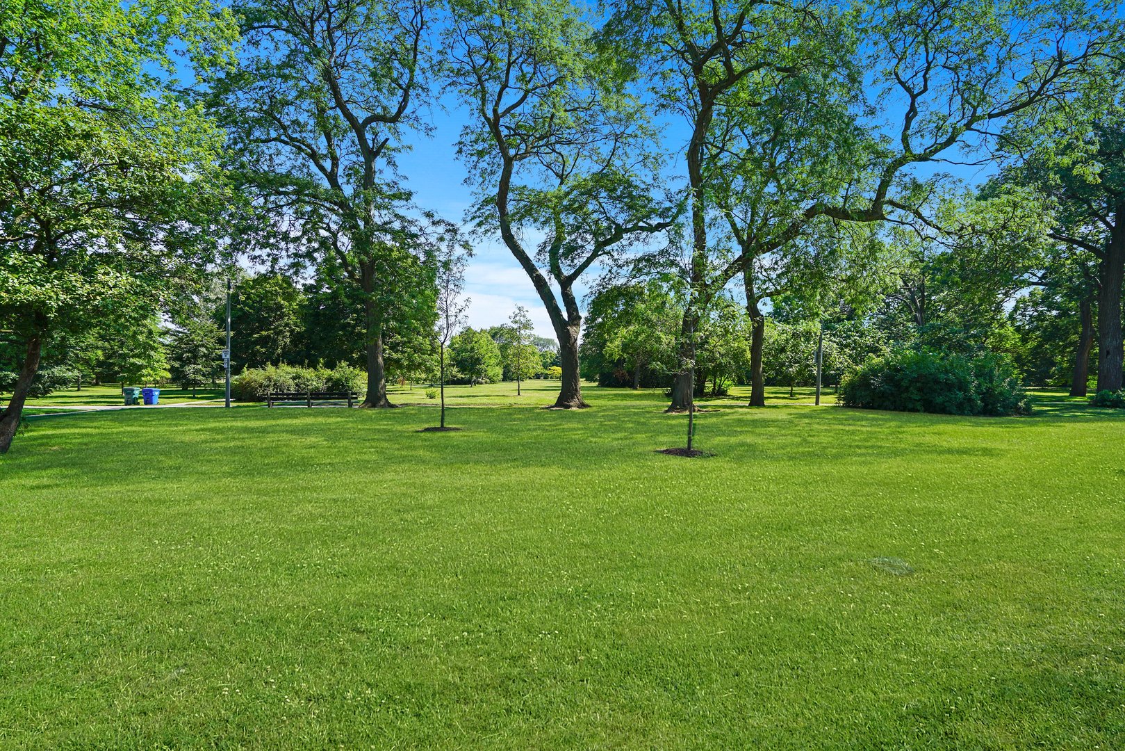 3017 East 78th Street, Unit 2B Chicago, IL 60649 - Photo 18 of 20 a view of a park with trees and houses