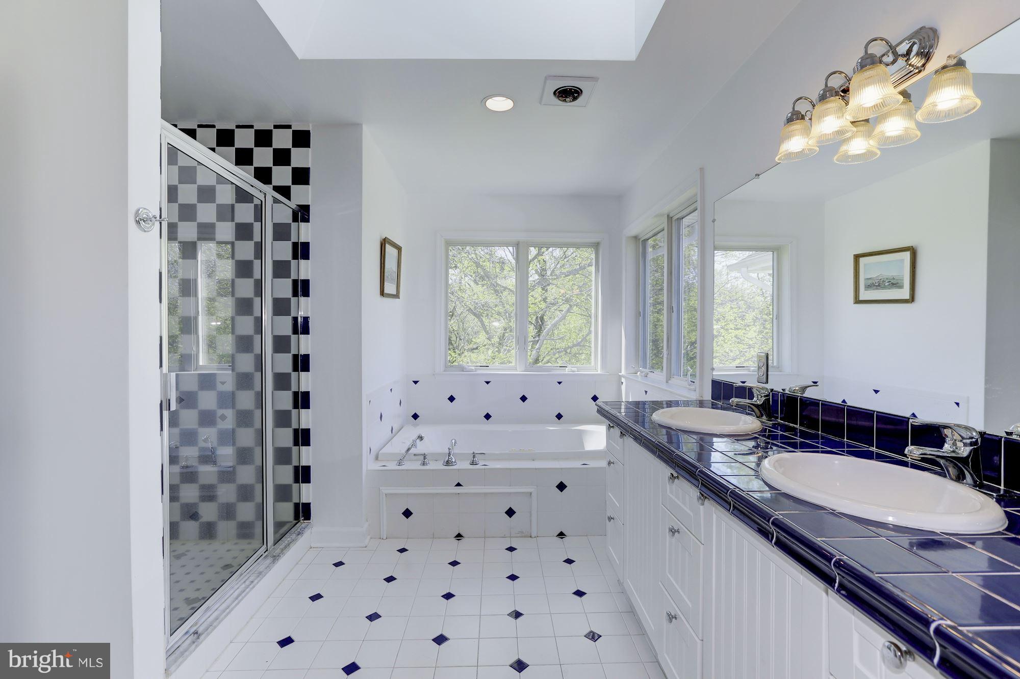 222 South River Clubhouse Road Edgewater, MD 21037 - Photo 15 of 30 Bath (Master)