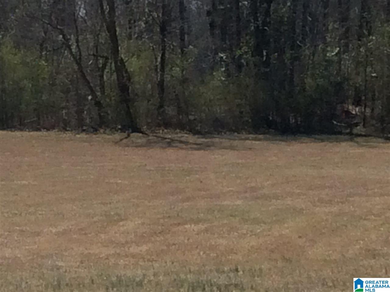 0 Coats Bend Road, Unit 1 Gadsden, AL 35901 - Photo 3 of 20