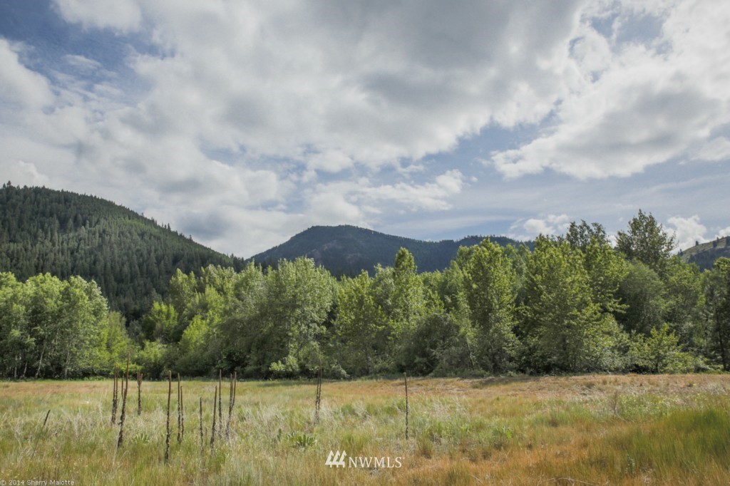 -tbd Poorman Creek Road Twisp, WA 98856 - Photo 1 of 14 Gallery Image 1