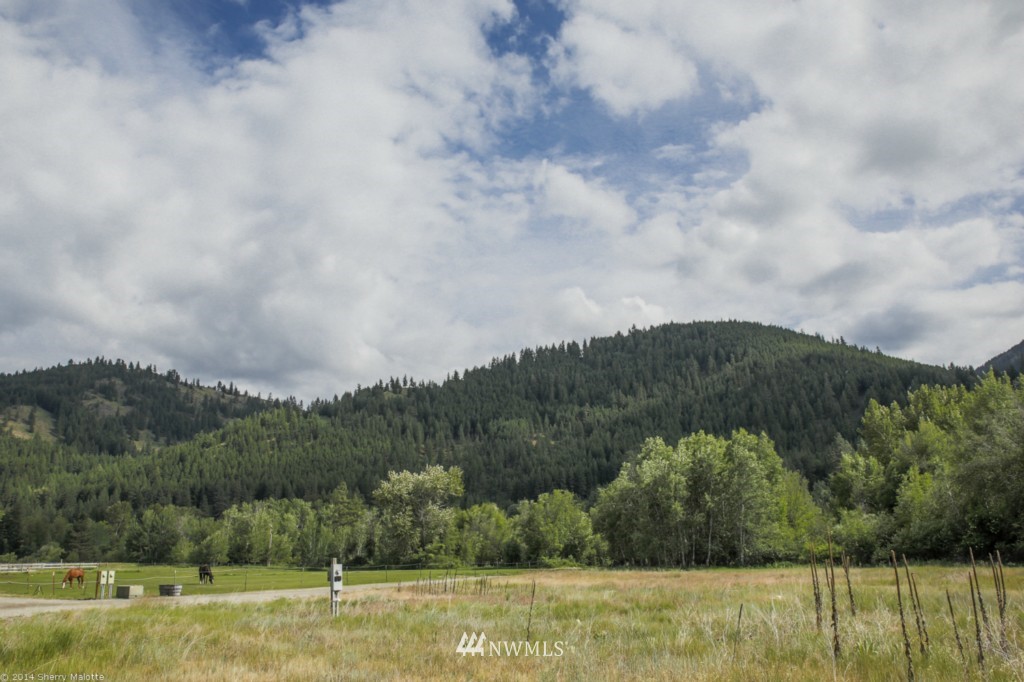 -tbd Poorman Creek Road Twisp, WA 98856 - Photo 2 of 14 Gallery Image 2