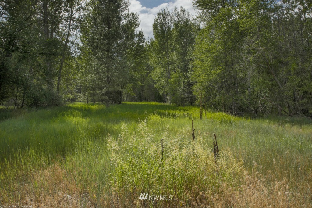 -tbd Poorman Creek Road Twisp, WA 98856 - Photo 6 of 14 Gallery Image 6
