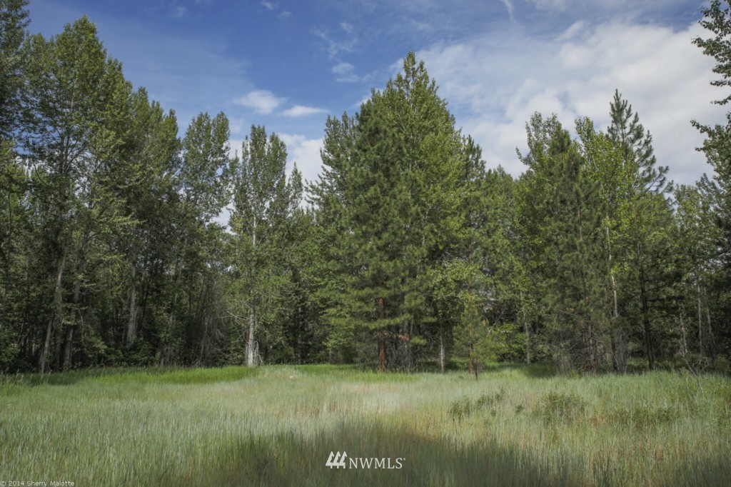 -tbd Poorman Creek Road Twisp, WA 98856 - Photo 7 of 14 Gallery Image 7