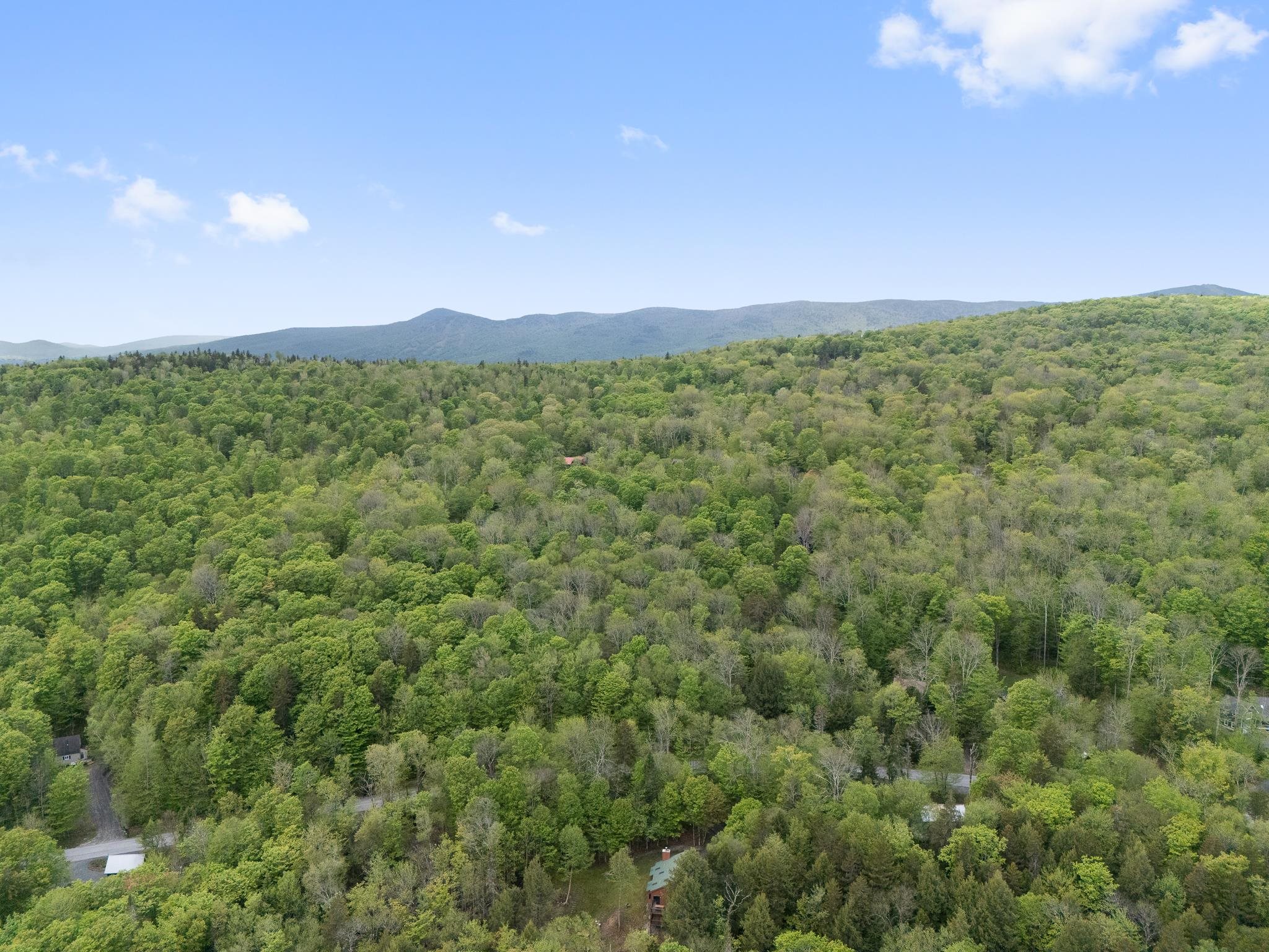 34 Ellis Brook Road West Dover, VT 05356 - Photo 43 of 44