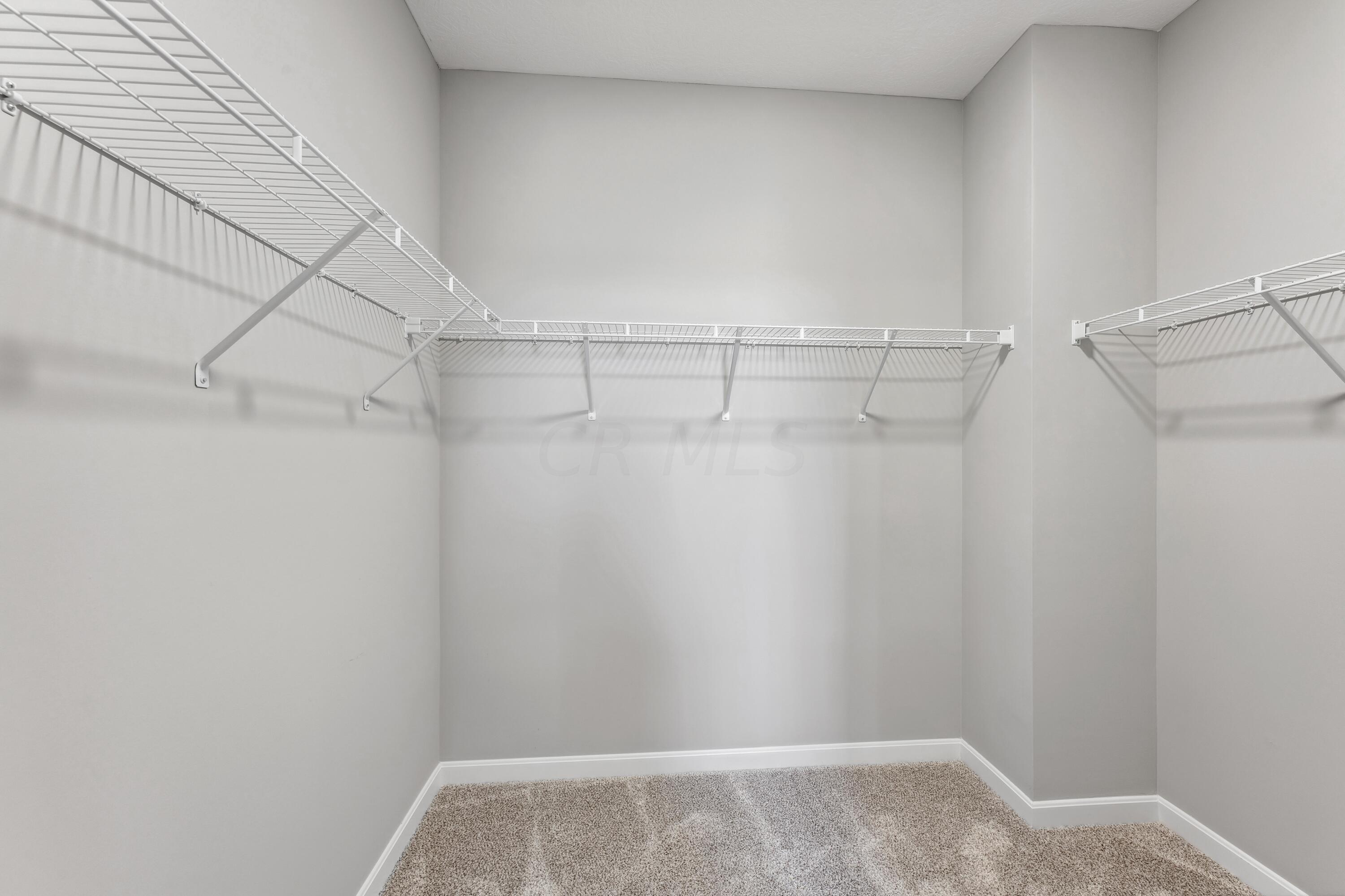 3113 Gelding Run Road Grove City, OH 43123 - Photo 26 of 31 Closet