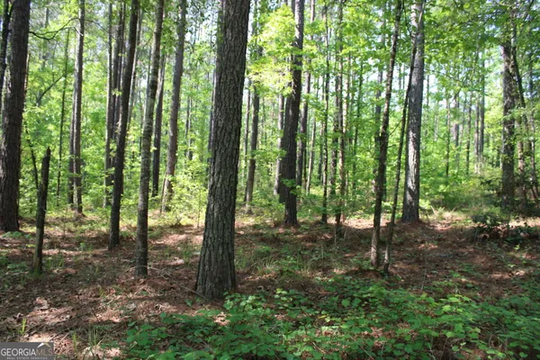 a view of outdoor space with lots of trees