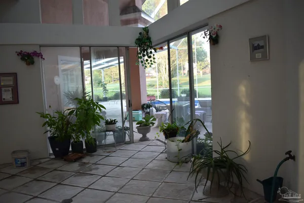 a room with furniture and potted plants