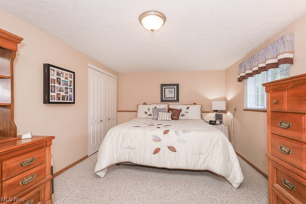 1826 Sandgate Road Madison, OH 44057 - Photo 11 of 29 Carpeted bedroom with a closet