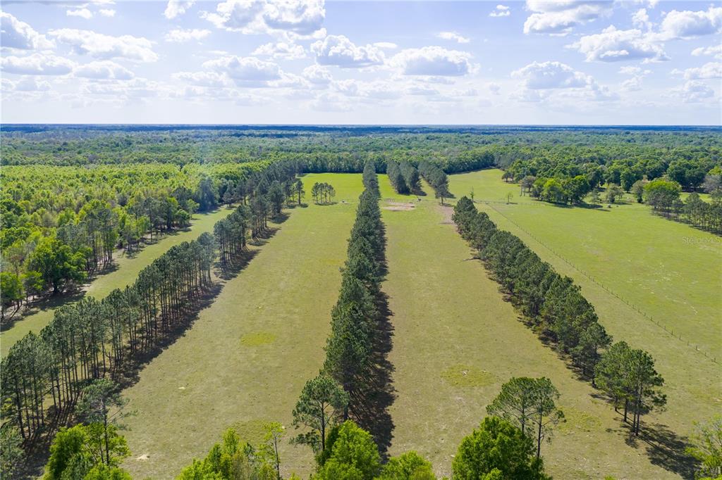 4639 Southwest Wilson Springs Road Fort White, FL 32038 - Photo 72 of 75 Gallery Image 72