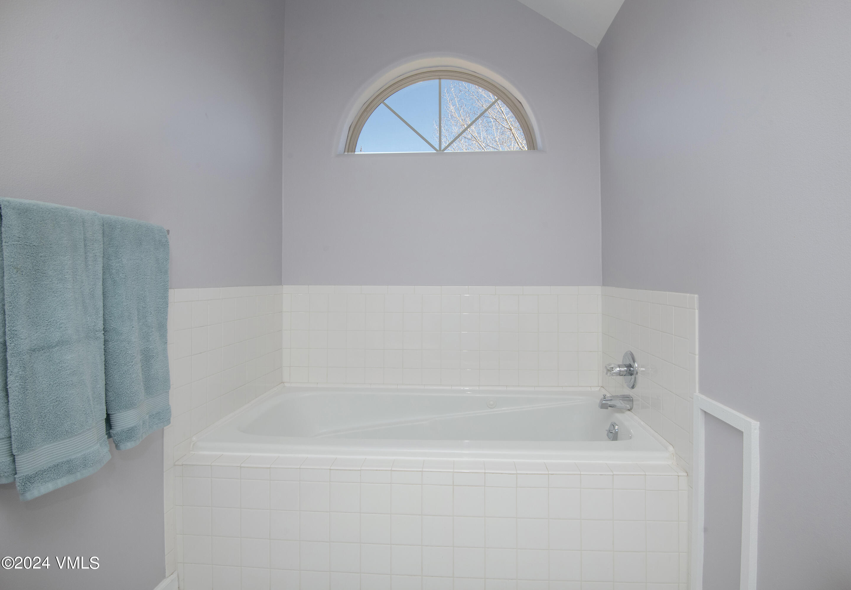 206 Golden Eagle Eagle, CO 81631 - Photo 28 of 47 a bathroom with a bathtub