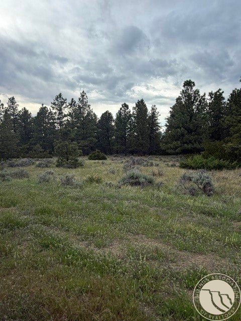 Lot 69 Jacobs Hill Road Reed Point, MT 59069 - Photo 20 of 25 Gallery Image 20