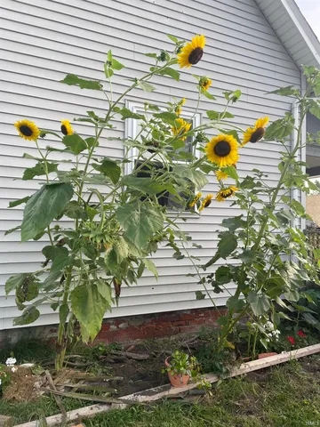 $134,300 | 323 East 1st Street, Fairmount, IN 46928