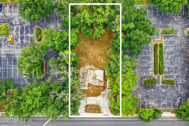 a view of a yard with plants