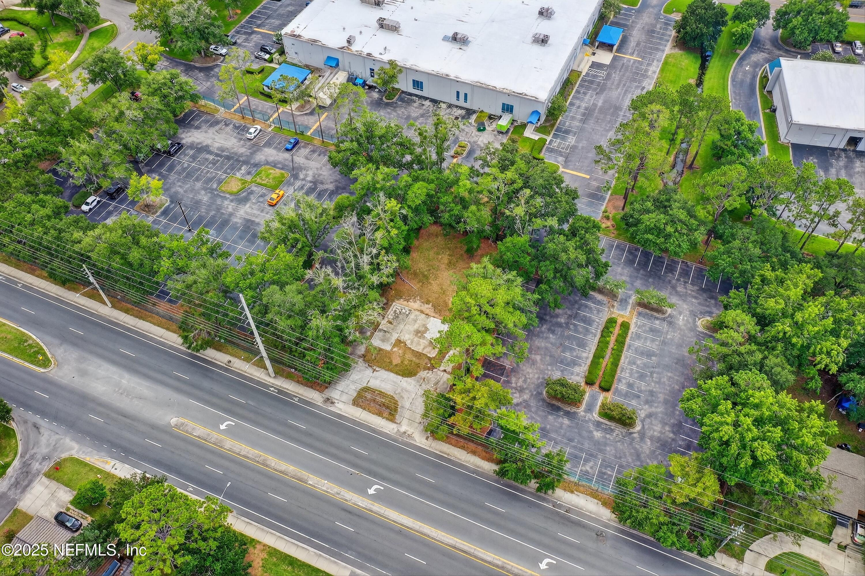 6346 Collins Road Jacksonville, FL 32244 - Photo 4 of 17 a view of a yard with plants
