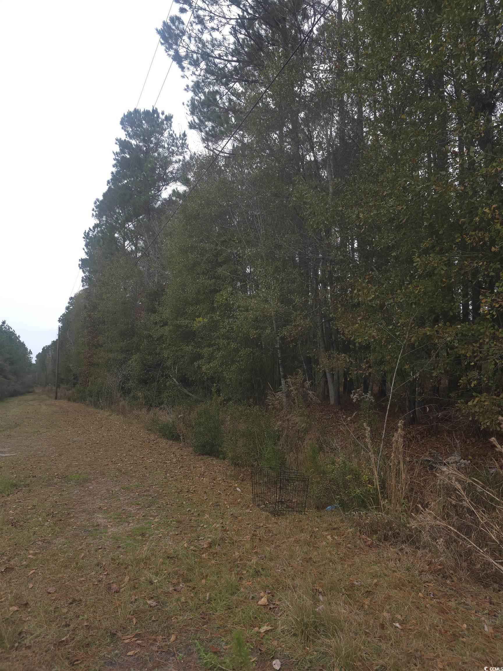 4339 Randall Road Conway, SC 29526 - Photo 3 of 7