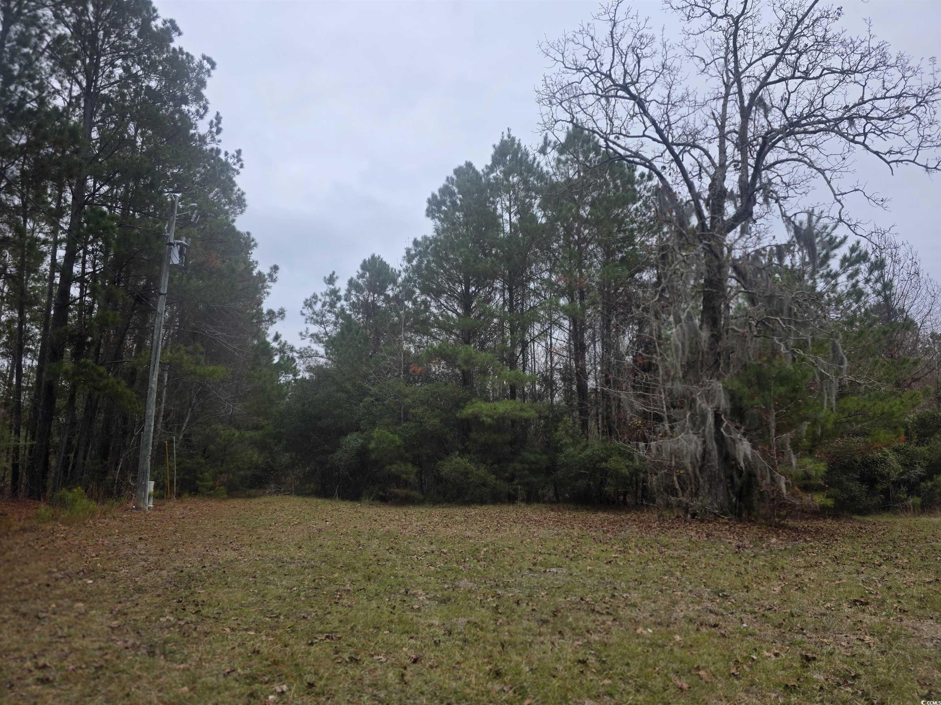 4339 Randall Road Conway, SC 29526 - Photo 4 of 7