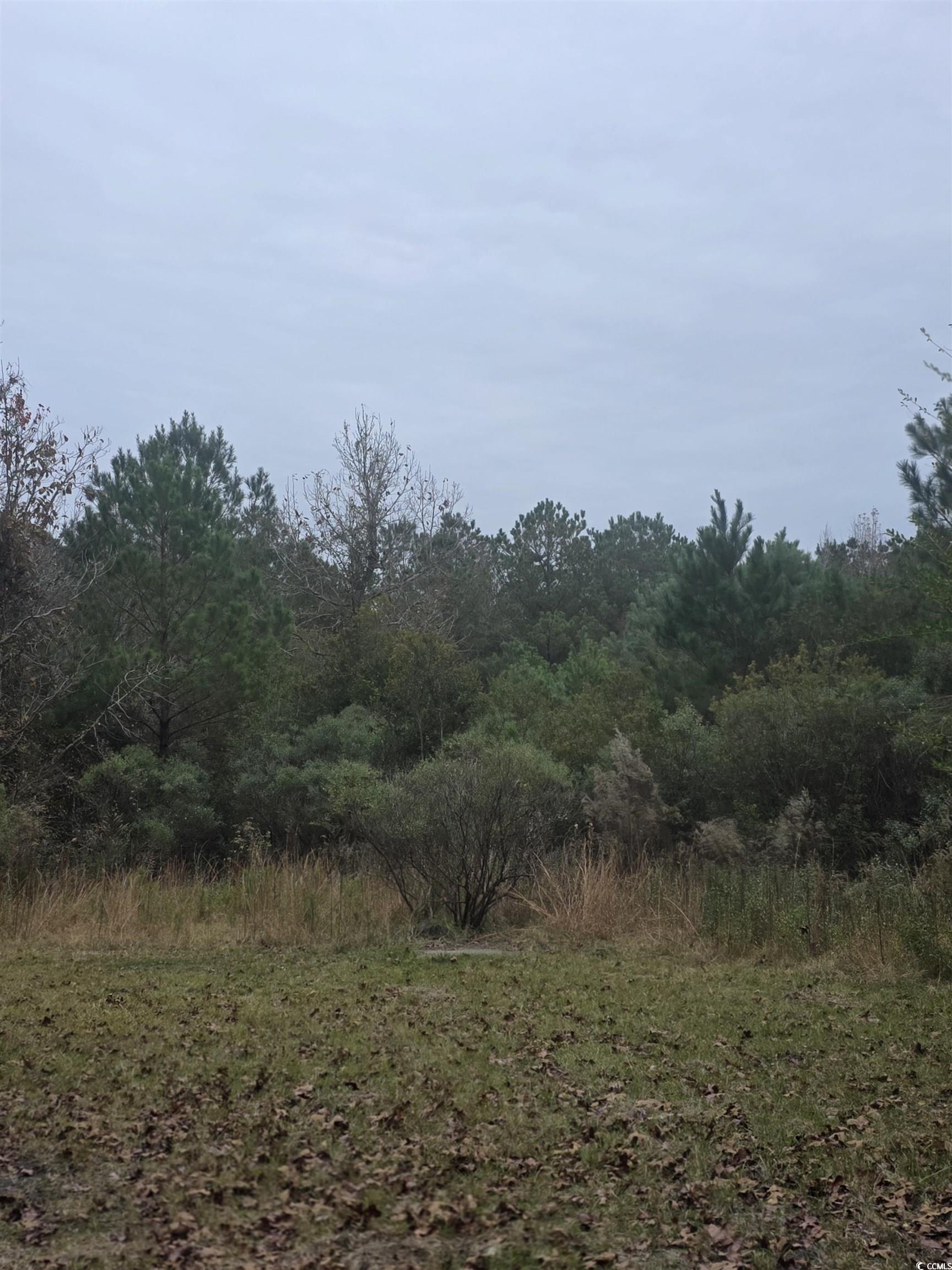 4339 Randall Road Conway, SC 29526 - Photo 5 of 7