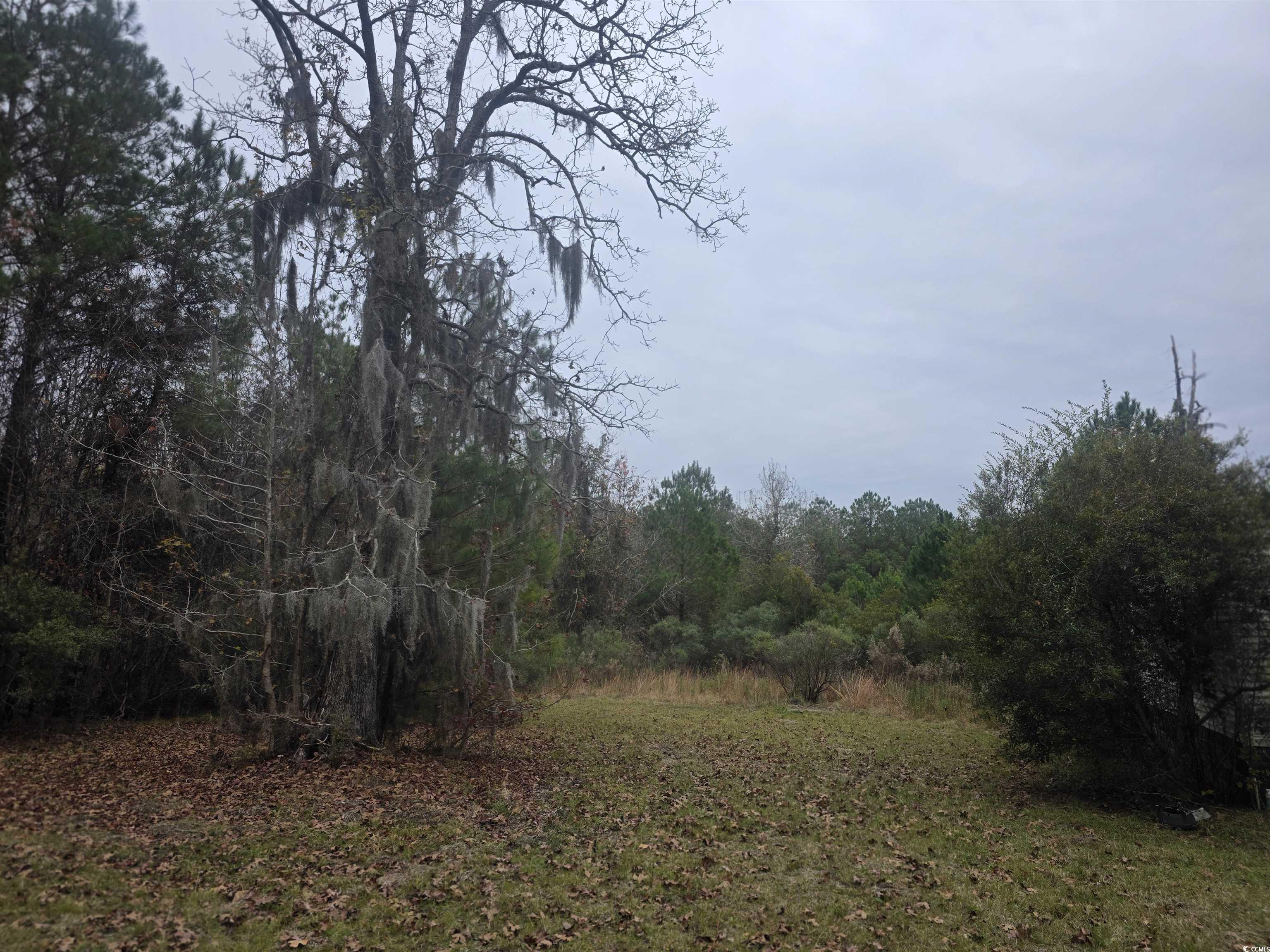 4339 Randall Road Conway, SC 29526 - Photo 6 of 7