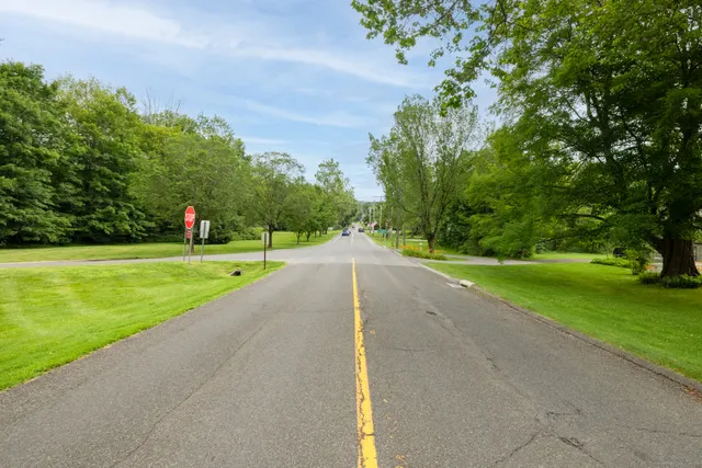 a view of a park with large trees