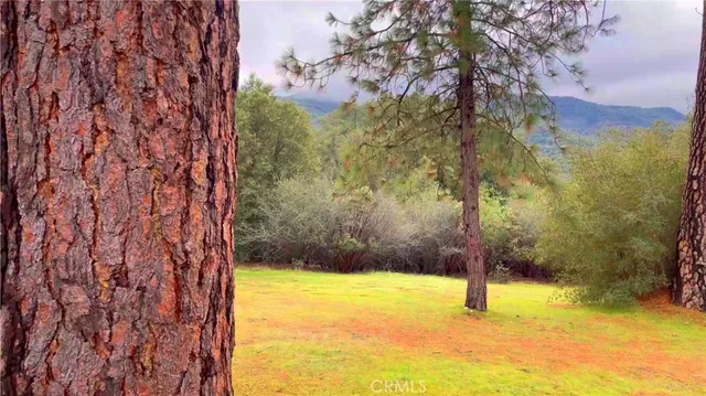 $699,000 | 2116 49th Highway South, Mariposa, CA 95338