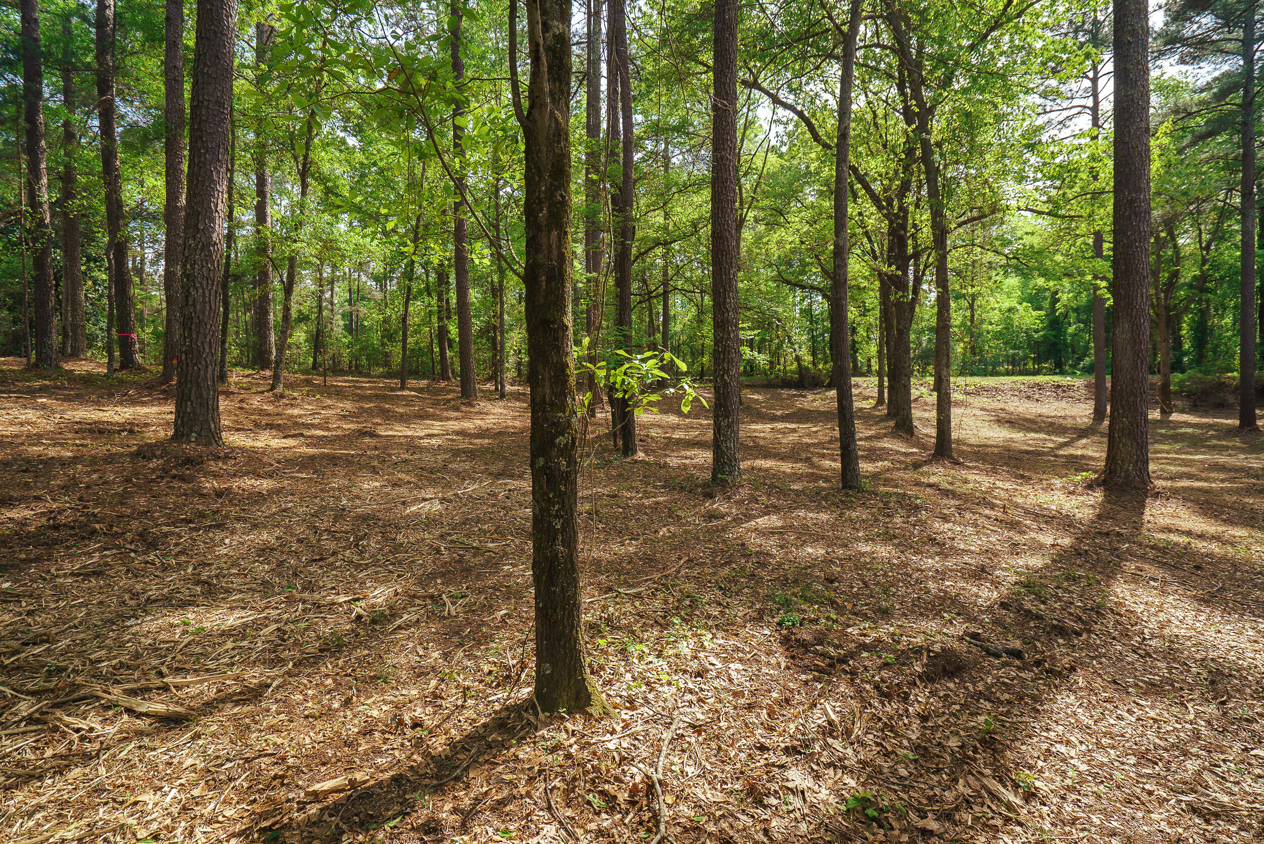 Lot 3 Banks Mill Road Southeast Aiken, SC 29803 - Photo 17 of 42