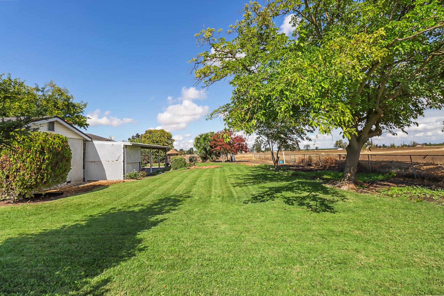 3366 Point Pleasant Road Elk Grove, CA 95757 - Photo 42 of 60 a view of a garden with a tree