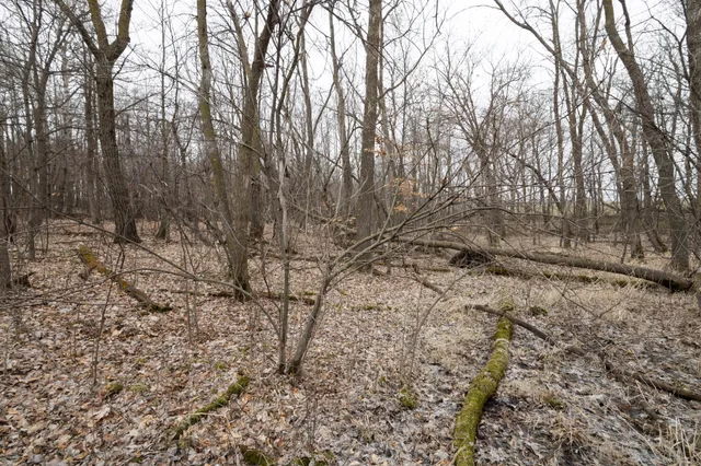 $60,000 | Lot 3 Sayler's Beach Road, Lake Park, MN 56554