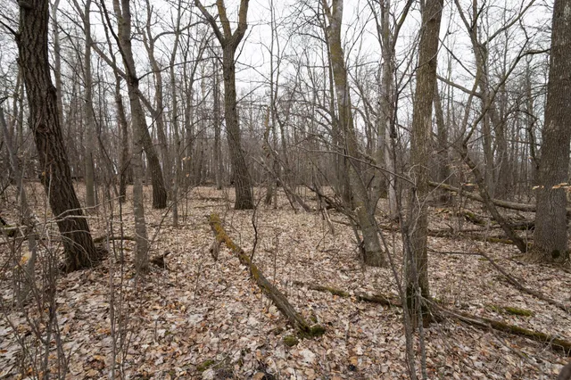 $60,000 | Lot 3 Sayler's Beach Road, Lake Park, MN 56554