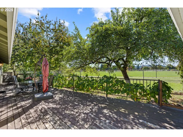 a view of a yard with a tree
